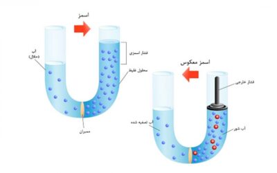 تفاوت اسمز با اسمز معکوس