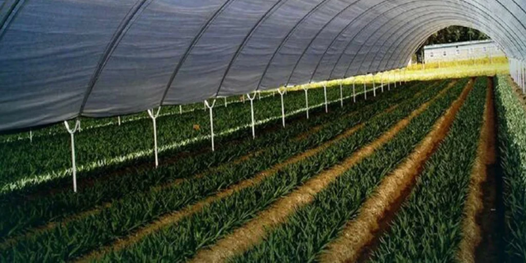 
تاثیرات مثبت دستگاه تصفیه آب صنعتی در کشاورزی
